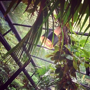 Hotel-Amour-Verrière-Terrasse